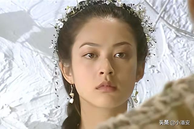 金庸笔下30大美女排行榜（金庸笔下五大绝世美女）(1)