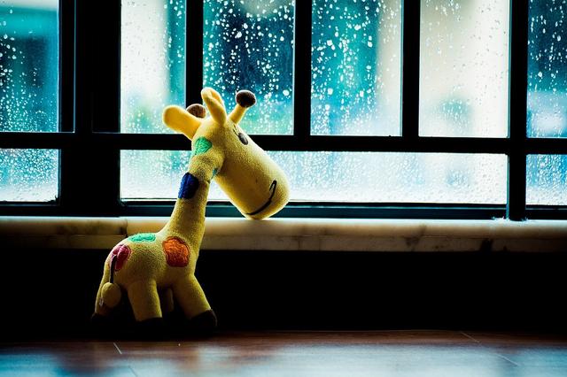 南拳妈妈所有的歌（南拳妈妈的这首歌）(2)