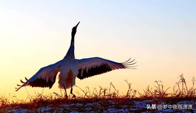 天蝎座被白羊座星座玩死（能气死白羊座的星座）
