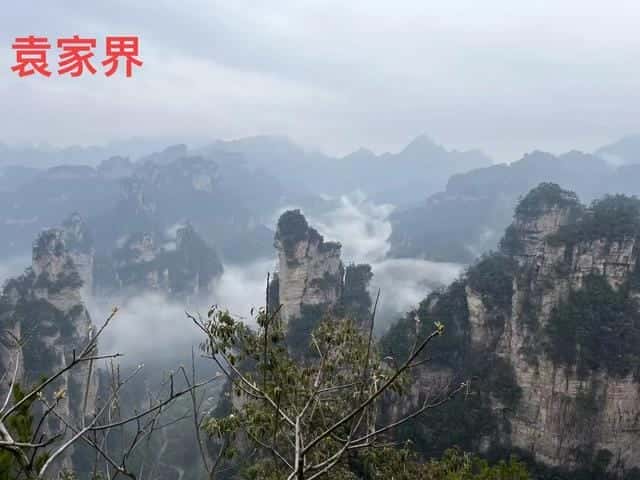 张家界玩怎么玩(分析这11个玩法攻略)