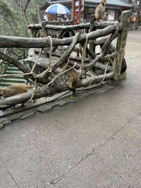 张家界玩怎么玩(分析这11个玩法攻略)