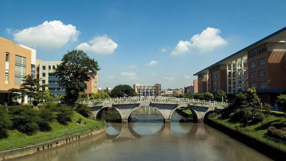 对外贸易经济大学有什么专业(对外经济贸易大学是985还是211)