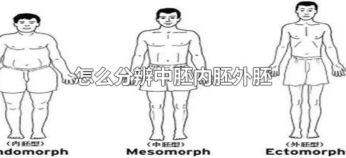 怎么分辨中胚内胚外胚 怎么分辨中胚内胚外胚