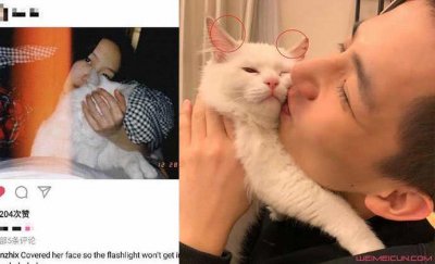 ​向涵之王安宇啥关系 两人因戏生情恋爱细节被扒是真是假