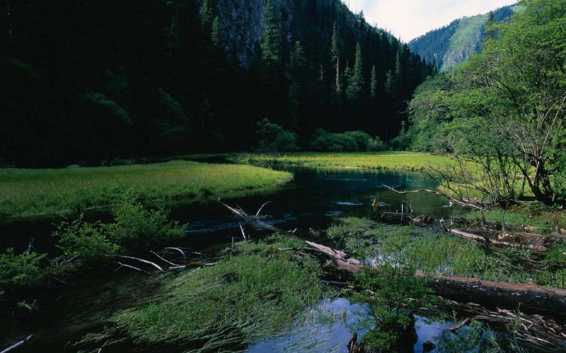 九寨沟海拔多少米(九寨沟旅游适合几月份去)