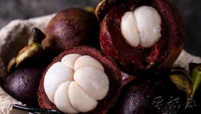 ​山竹长在土里还是树上