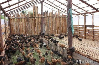 ​风雨竹服饰价格(风雨竹服饰价格多少)