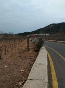 ​华东葡萄酒庄园游玩攻略，华东葡萄酒庄园预约