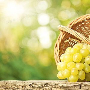 ​古井酒价格3年原浆价格表，古井3年多少钱一瓶