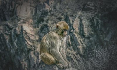 ​连云港旅游景点排行榜「推荐连云港10大景点推荐」