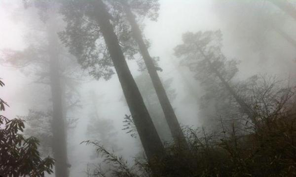 世界最恐怖的五大禁区(世界恐怖禁区有哪些)