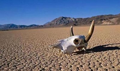 ​世界最恐怖的五大禁区（世界恐怖禁区有哪些）