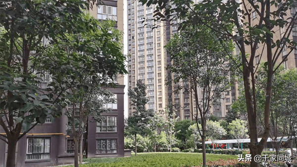 电梯房为什么不买七楼(高层买7楼的原因)