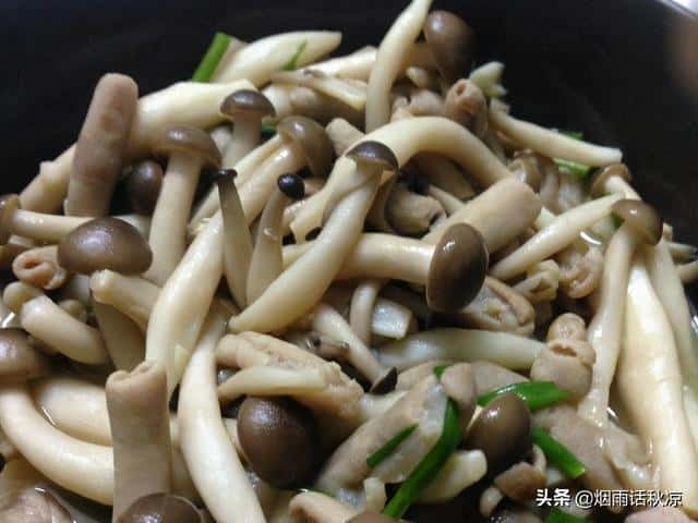 炒海鲜菇需要焯水吗-(海鲜菇需要焯水吗)