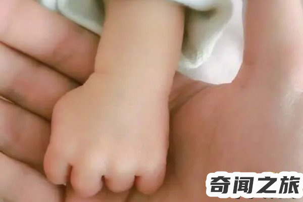 任嘉伦的老婆照片,一家三口,家庭生活幸福