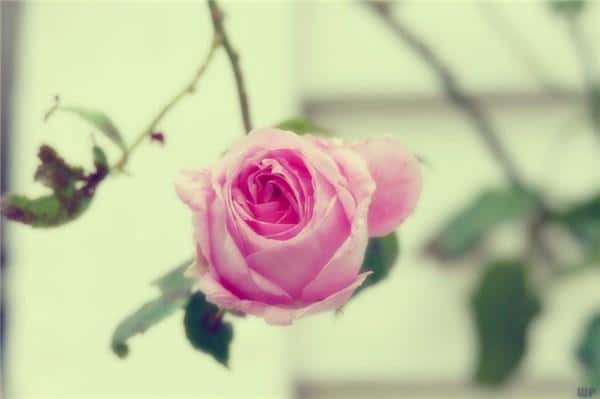 有心事发朋友圈短句(心事重重发朋友圈的说说)