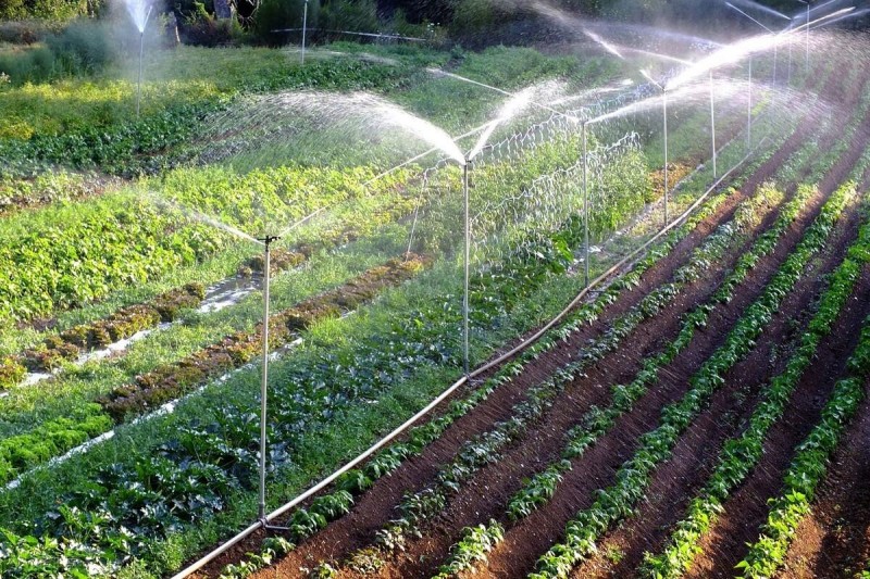 土地盐碱化怎么形成的(土地盐碱化严重的地区)