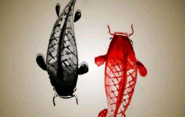 近朱者赤近墨者黑是什么意思