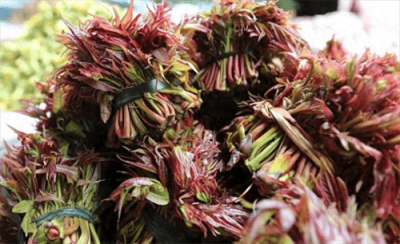 ​香椿什么季节吃(立秋后香椿芽还能吃吗)