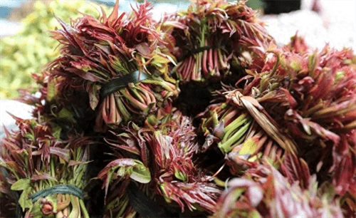 香椿什么季节吃(立秋后香椿芽还能吃吗)