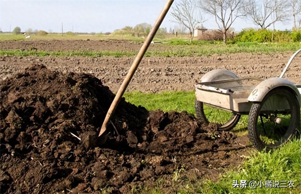保护土壤的三种方法(我们应该怎么保护土壤)