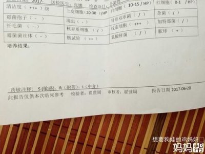 ​分泌物检查结果怎么看？分泌物检查结果清洁度三度