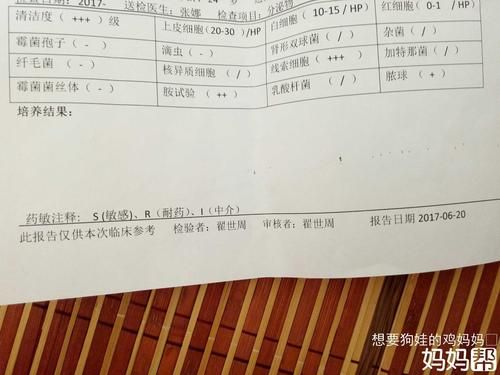 分泌物检查结果怎么看？分泌物检查结果清洁度三度-第1张图片-