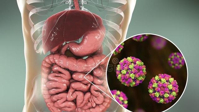 肠胃炎吃什么药效果最快,快速治疗急性肠胃炎方法