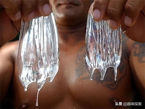 水母的寿命(水母的介绍和特点)