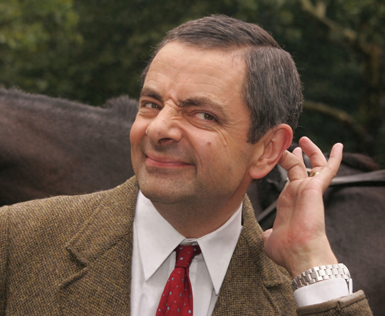 罗温·艾金森（Rowan Atkinson）（憨豆先生）