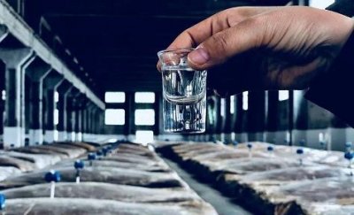 ​喀什昆仑神酒52价格(昆仑神酒珍品52度)