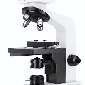 ​显微镜的用途 主要应用在哪些领域