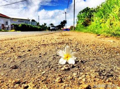 ​你们在电视上看不到的瓦努阿图人