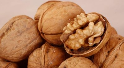 ​生核桃的功效与作用 “经常用脑，补充六个核桃”， 同时被誉为“长寿果”！