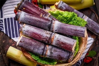 ​甘蔗的营养价值与功效（刺激肠道  润肠通便）