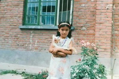 ​高圆圆个人资料及简历(高圆圆个人资料介绍)