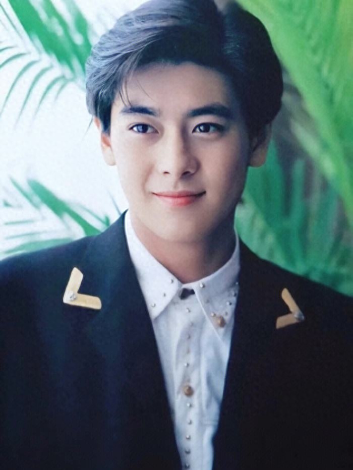 林志颖简历及个人资料简介(林志颖近况最新消息)-