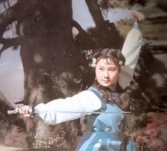 ​丁岚个人资料(因出演《少林寺》而走红，曾表白李连杰被拒，如今58岁依旧单身)