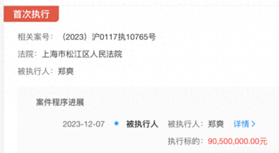 ​因代孕和偷逃税被封杀 郑爽被强制执行9050万