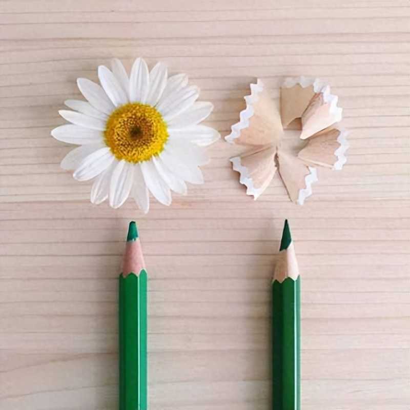 不期而至的意思(初中语文100个常用成语及解析)