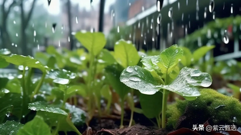 歌颂老师的诗句(古诗词中赞美老师的经典名句)
