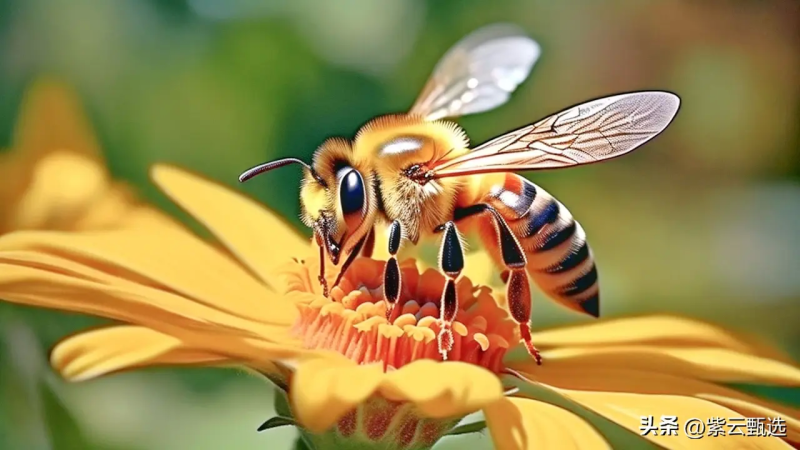 歌颂老师的诗句(古诗词中赞美老师的经典名句)