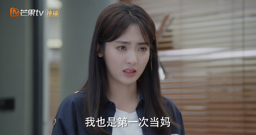 曾黎主演的电视剧（淑女的品格演员表和剧情介绍）-