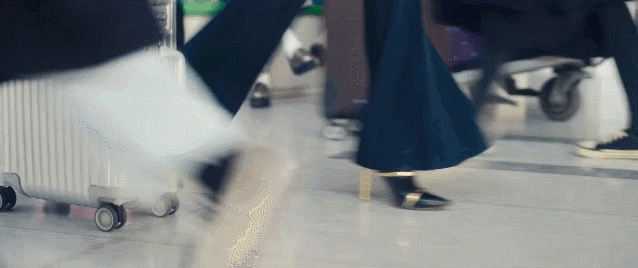 曾黎主演的电视剧（淑女的品格演员表和剧情介绍）-