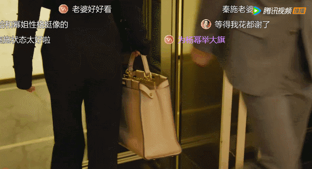 曾黎主演的电视剧（淑女的品格演员表和剧情介绍）-