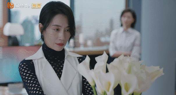 曾黎主演的电视剧（淑女的品格演员表和剧情介绍）-