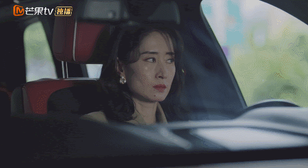 曾黎主演的电视剧（淑女的品格演员表和剧情介绍）-