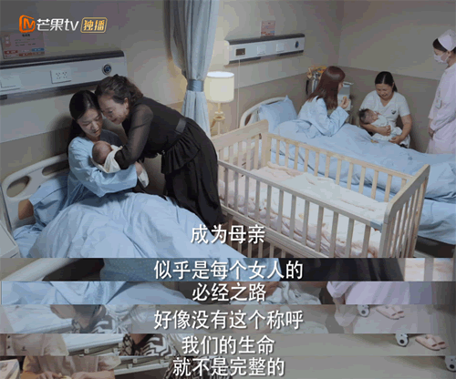 曾黎主演的电视剧（淑女的品格演员表和剧情介绍）-