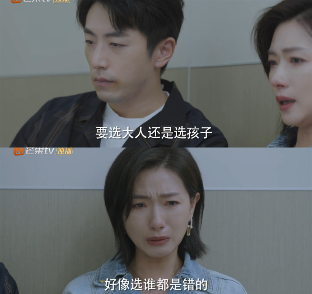 曾黎主演的电视剧（淑女的品格演员表和剧情介绍）-