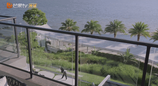 曾黎主演的电视剧（淑女的品格演员表和剧情介绍）-